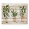 Designart - Houseplant Monstera & Peace Lily In Terra Cotta - Farmhouse Print on Natural Pine Wood